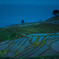 千枚田 (2)