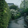 雨の日
