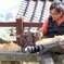 尾道の猫