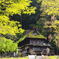 里山の春