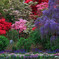 Colorful Flower