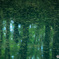 fresh green