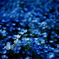 pale blue dots