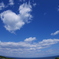 空と海と魚眼