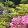 庭園