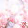 ぽかぽか～