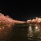 夜桜