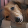 tired