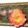 2010041403