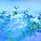Light　Blue