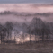 Morning mist Toushi