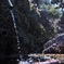 湧水 自然の恵み