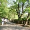 井の頭公園