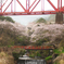 春　ー 桜のある風景 ー