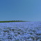 BLUExBLUE