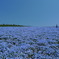 BLUExBLUE