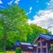 夏の訪れ