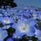 BLUExBLUE