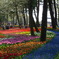colorful carpet