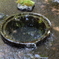 湧水