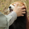 八木山動物園
