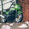 ZRXと花
