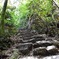 めざせ岐阜城！遠いなぁ〜