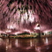 Violet World
