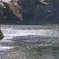 桜風