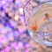 金魚