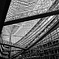 Glass Atrium #2
