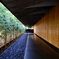 竹の回廊