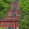 秩父・鳥居