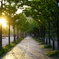 Street