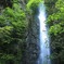 新緑の滝