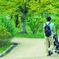 緑いっぱいの散歩