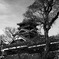 在りし日の熊本城