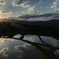 棚田夕景