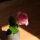 わたしにとって、他の人に花を贈るという行為は小恥ずかしい。しかし、彼にはできる。