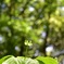 太陽を感じて