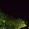 初めての星景