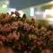 夜の花