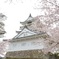 春の古城