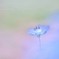 淡い夢