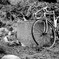 自転車