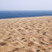 tottori sand dunes