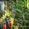高野山