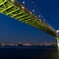 Night of the Rainbow Bridge