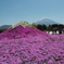 ミニ芝富士山