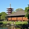 回遊式庭園
